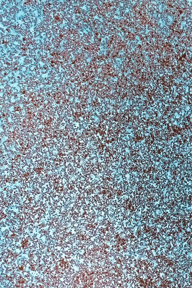 Surface sample Copper Venice